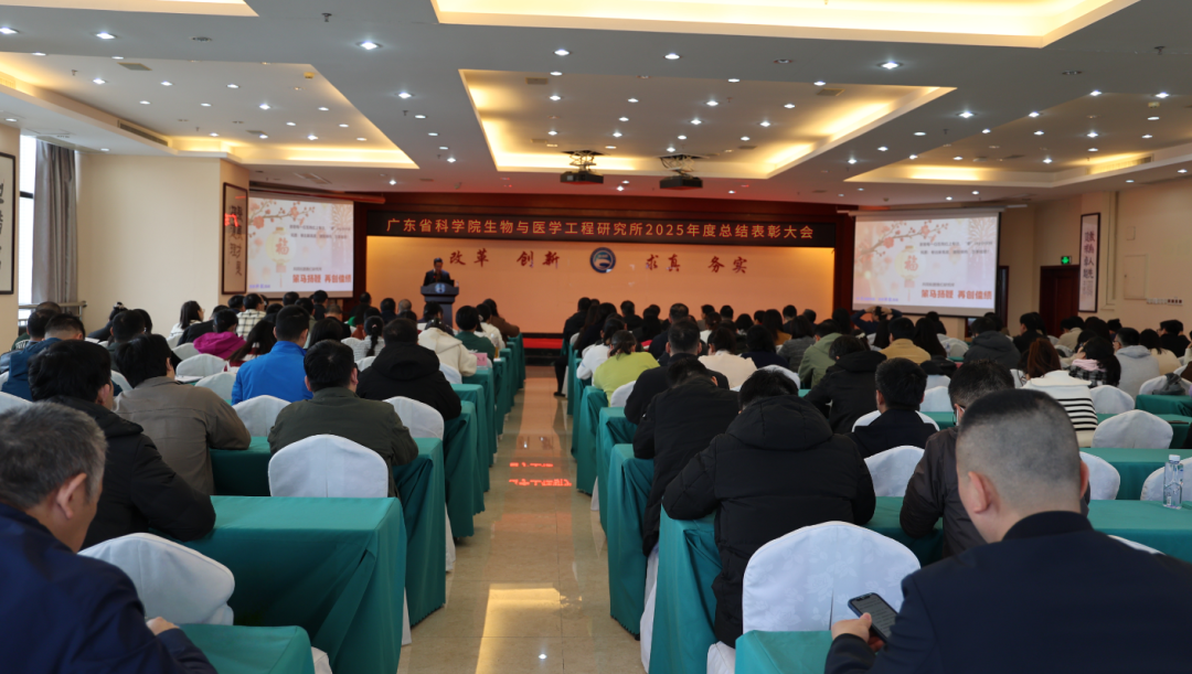 2025年总结表彰大会-网站1png.png