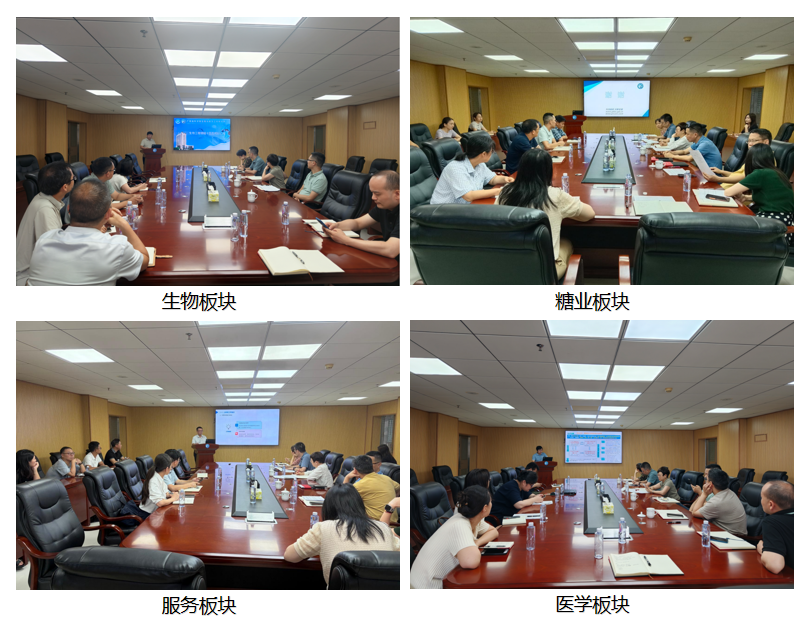 十五五规划讨论图片(20260729).png